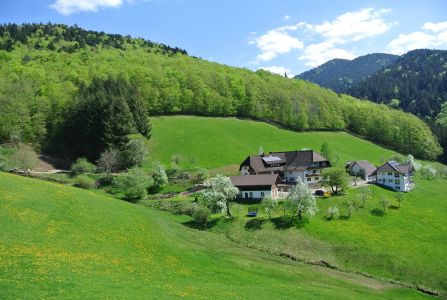 Aus der Ferne
