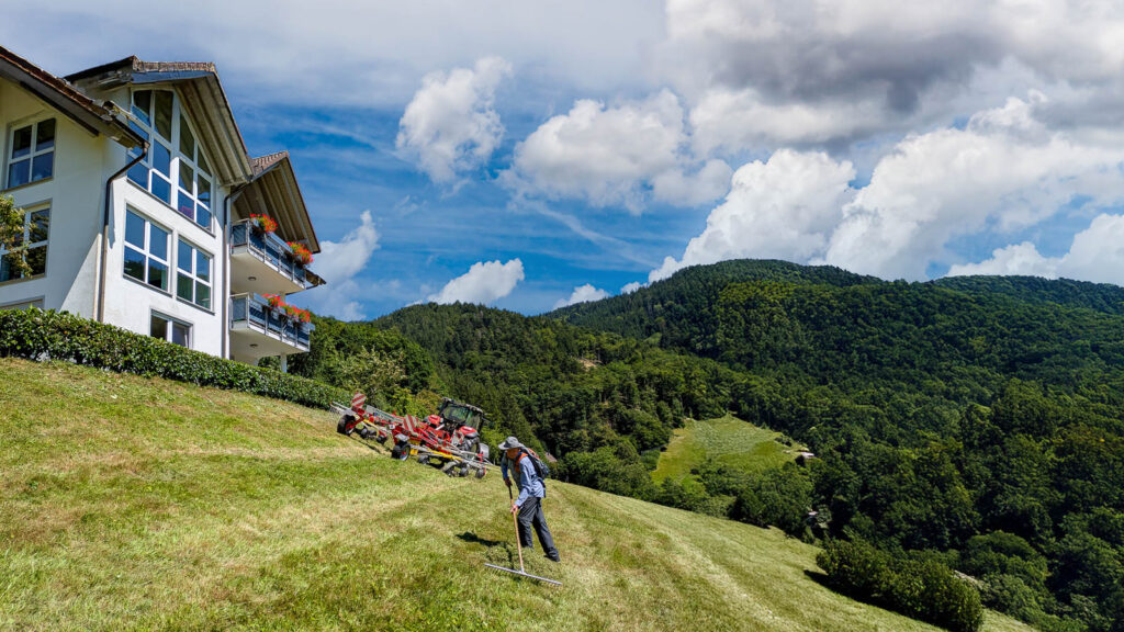 Urlaub auf dem Ferienhof